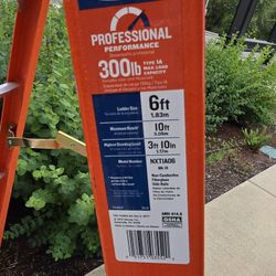 Warner Professional Ladder 