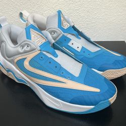 Nike Men’s Giannis Shoes