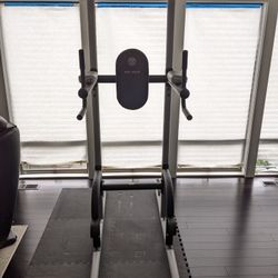 Gold's gym xr 10.9 power tower for sale hotsell