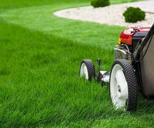 Grass cut