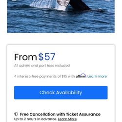 whale watching san diego 2 tickets  