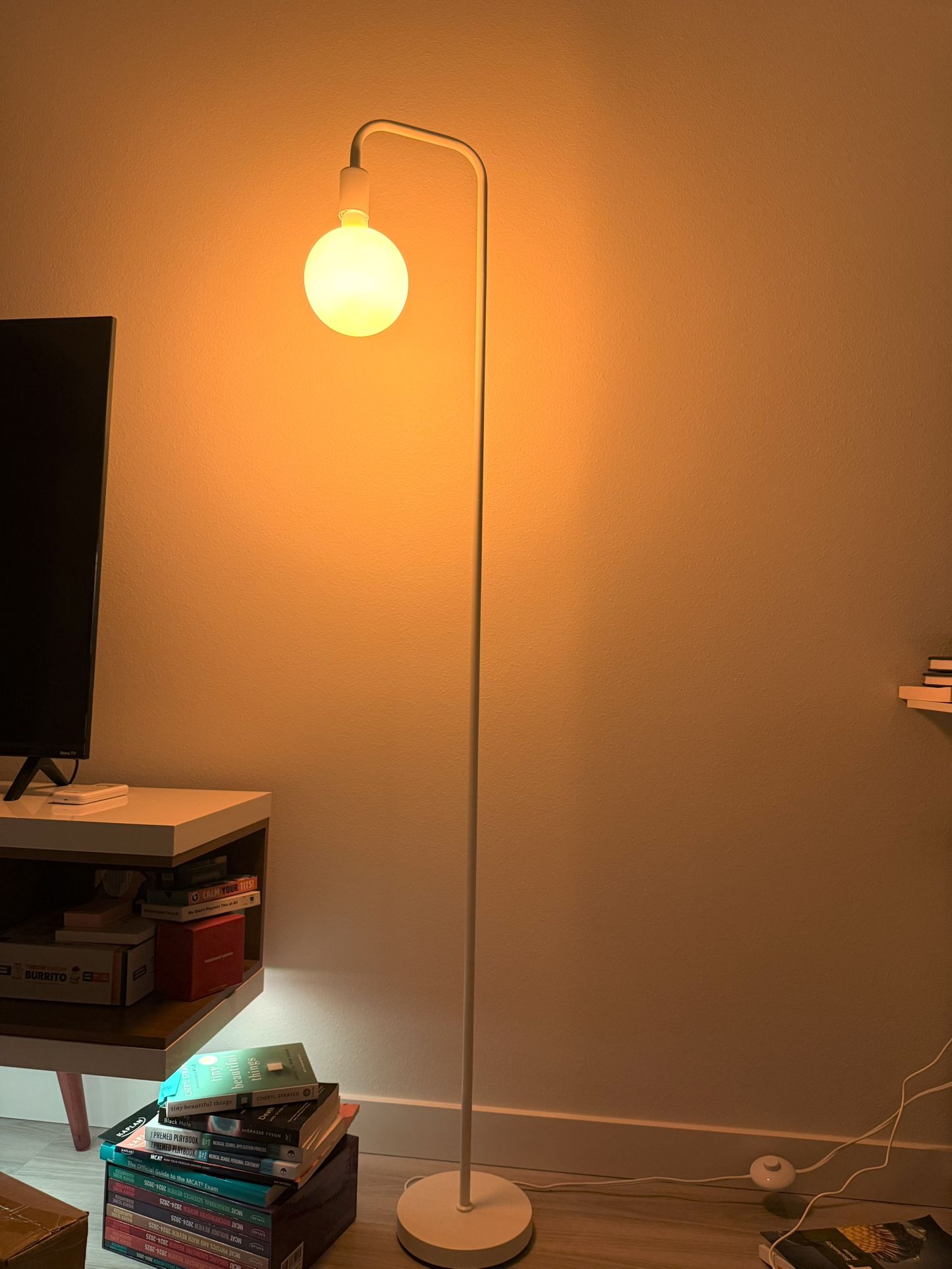 Minimalist Floor Lamp