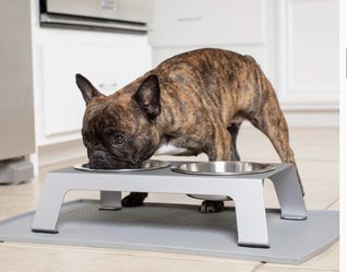 (2) PetFusion Elevated Food Stands