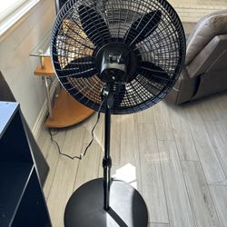 fan