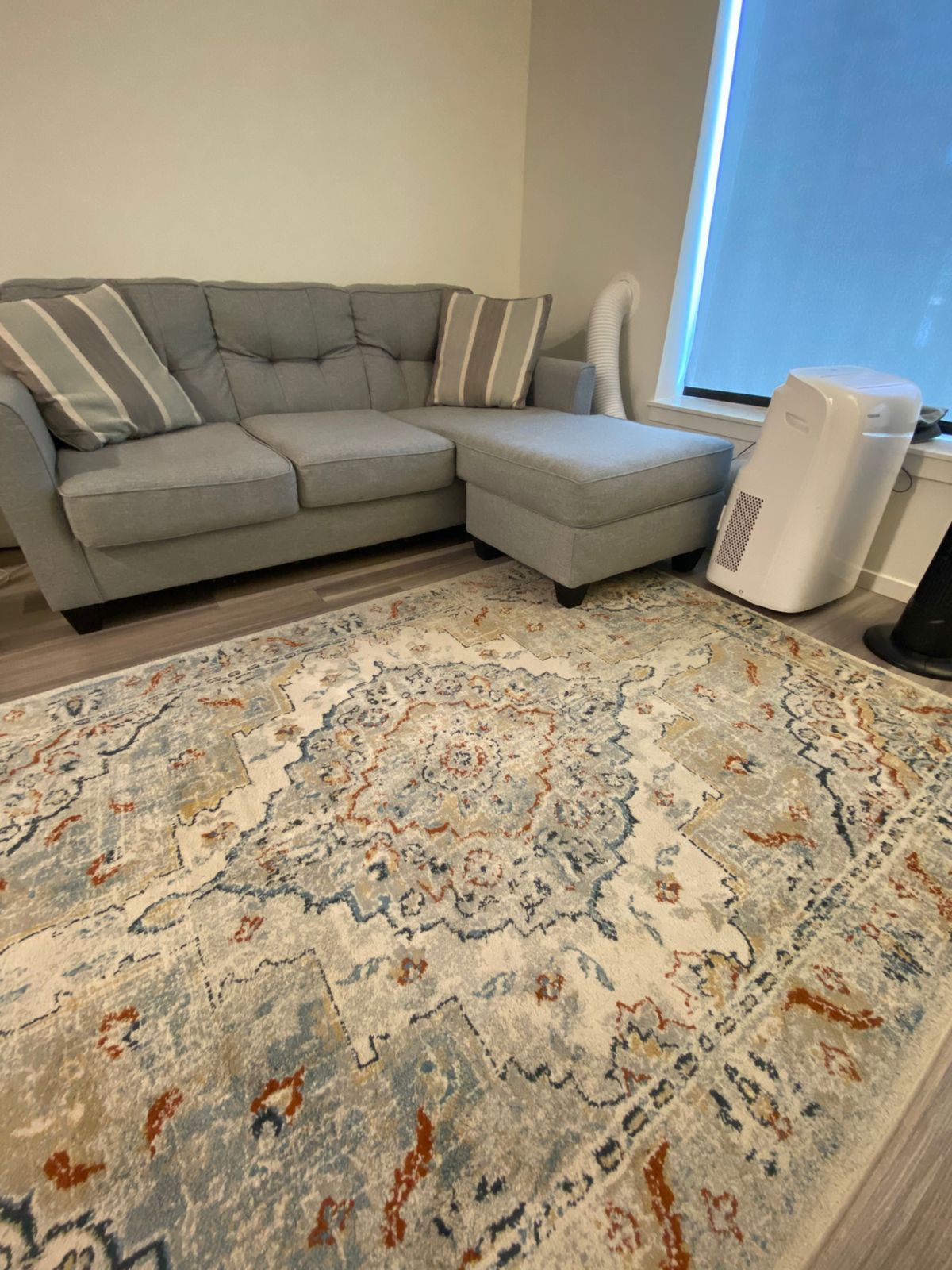 SOFA & RUG