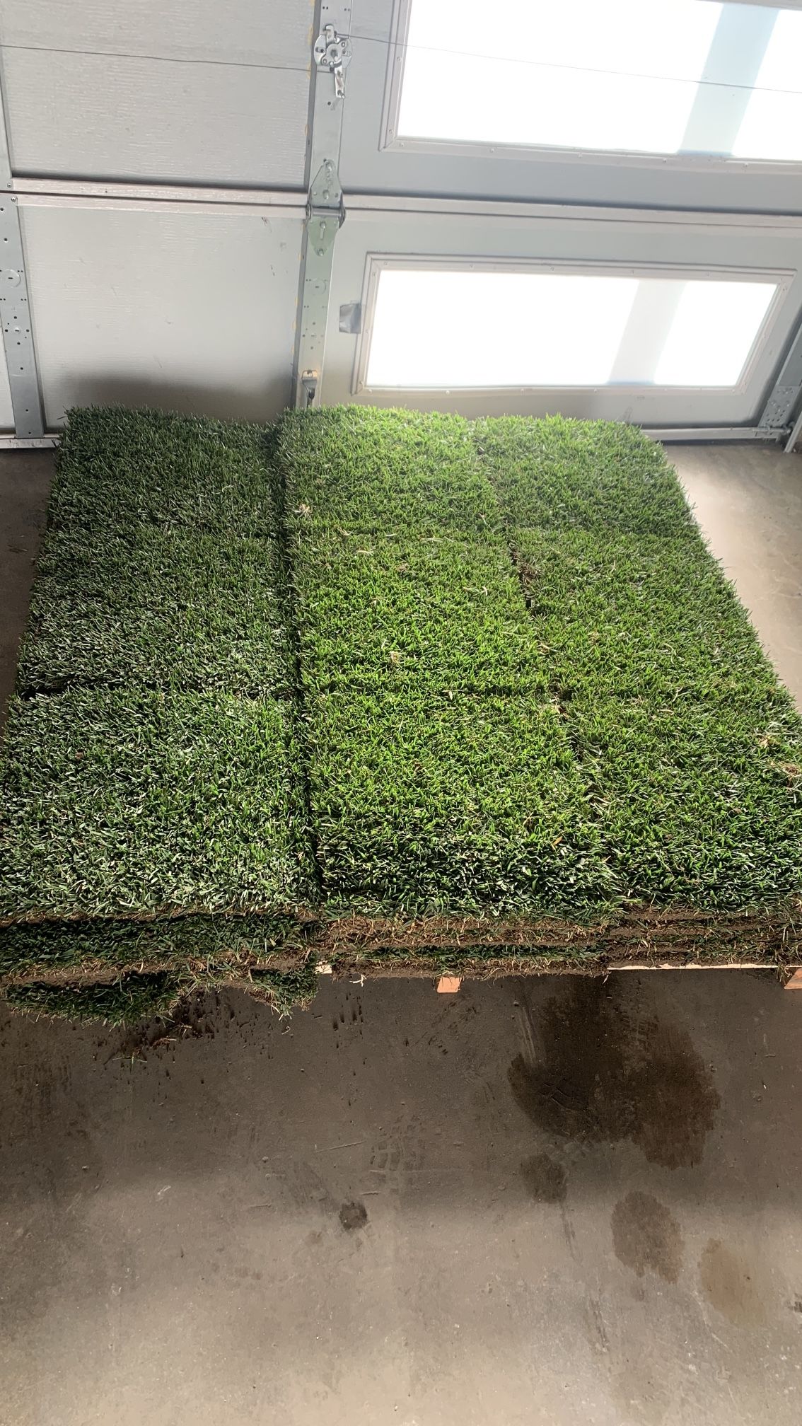Free Grass Marathon II for Sale in Santa Fe Springs, CA OfferUp