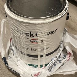 White Interior Latex Paint Quick Cover 