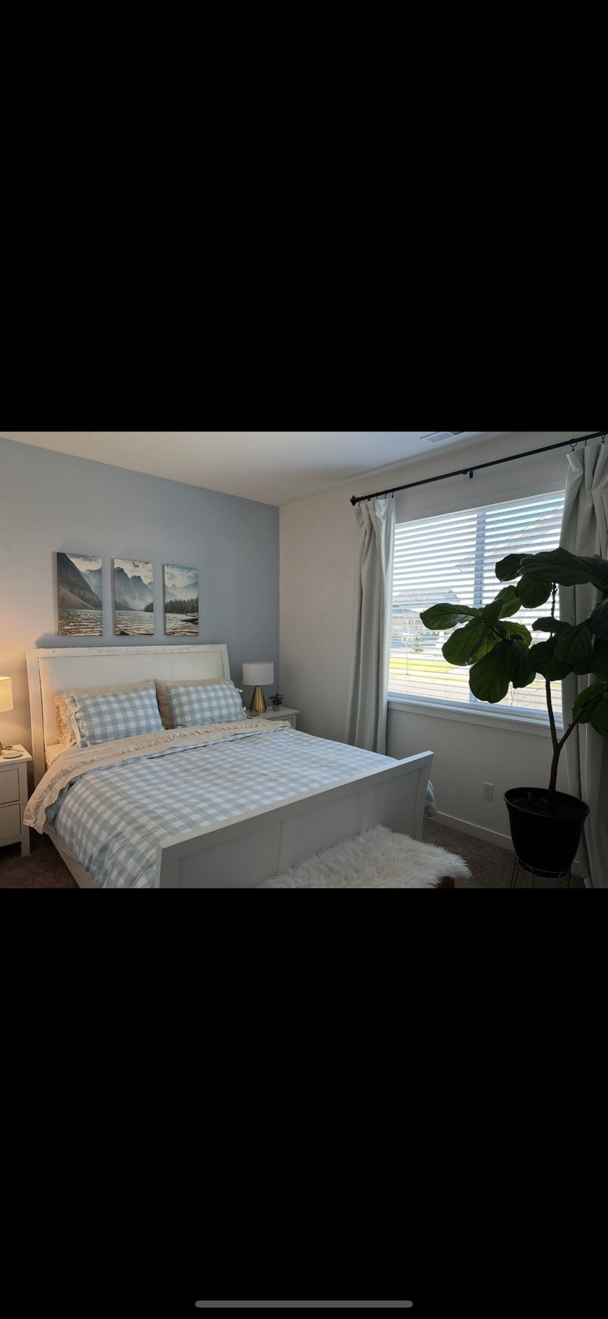 Queen White Bed And Box Spring