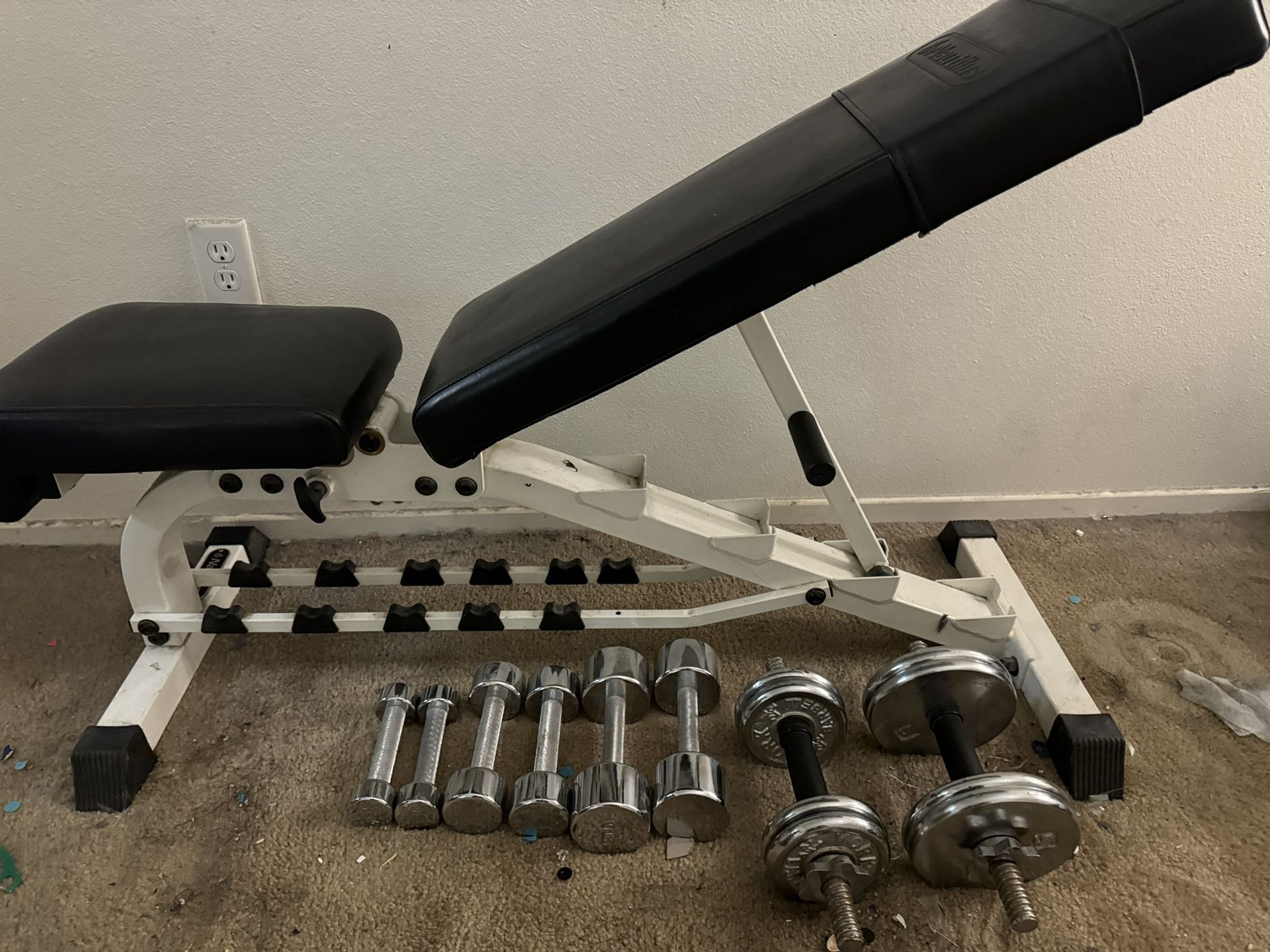 Workout Bench And Weights (Nautilus)
