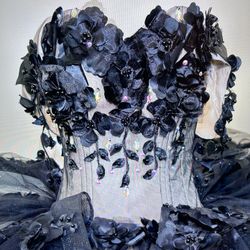 Quinceañera Dress (includes crinolina)