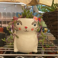 Cat Planter