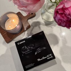 PowerShot G7X Mark III Sliver 