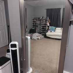 Full Length Mirror Silver 