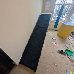 Homemade Carpet Slide