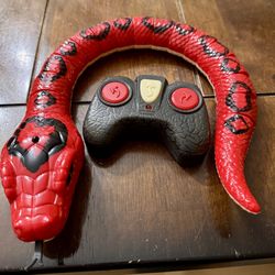 Remote Control Snake