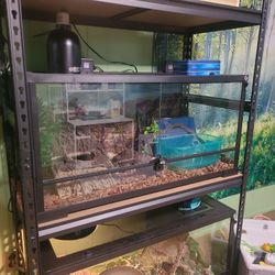 40 Gallon Reptile Tank