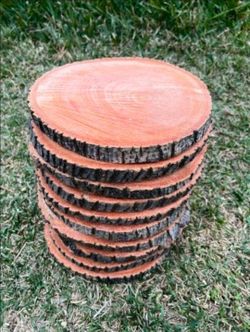 Natural Wood Slices 🪵 (Centerpieces ***Different Sizes***)