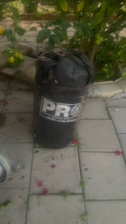 Small Punching Bag