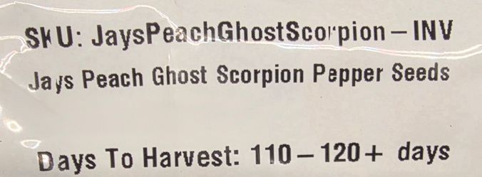 Jays Peach Ghost Scorpion Pepper Plants