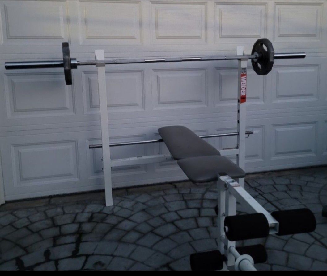 Olympic Bench Press And Weights