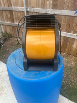 Fan