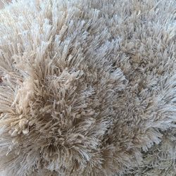 Nice elegant rug 