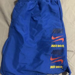 Nike Dry Fit Shorts 