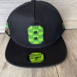 Plebes Caps Snapback Hat$30 El Chapo