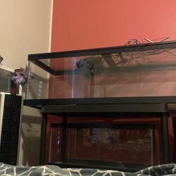 Fish/reptile Tanks 