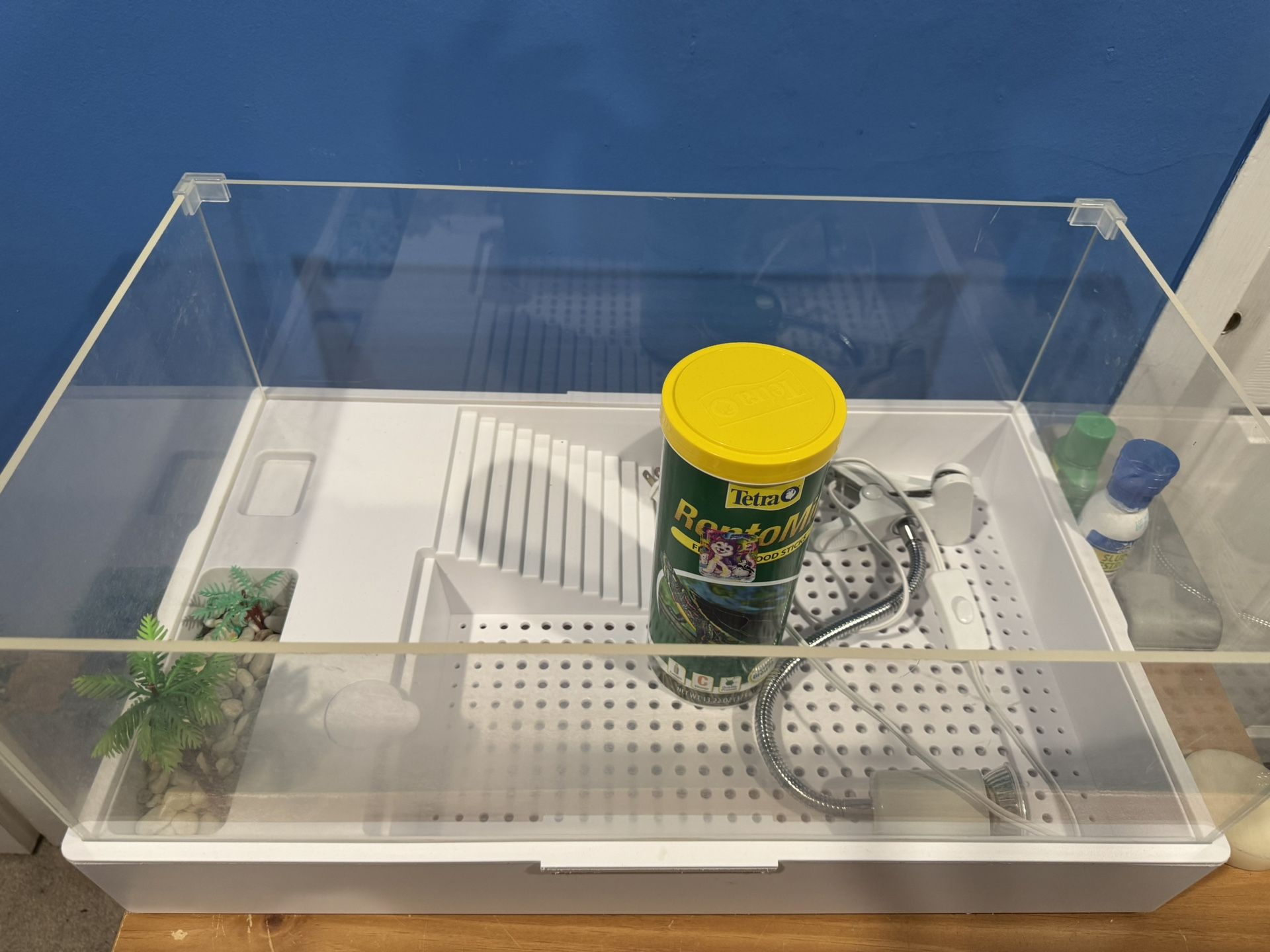 Turtle Tank
