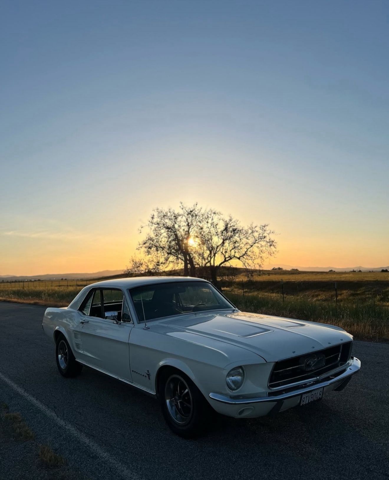 1967 Ford Mustang
