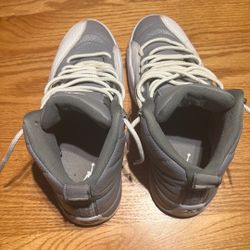 Jordan 12 Stealths 