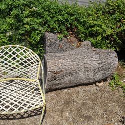 Solid  Tree Logs Free