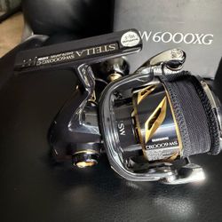Shimano Stella 6000XG