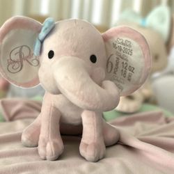 Birth Stat Elephants