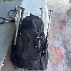 Baseball Bag, Gloves, And Bats