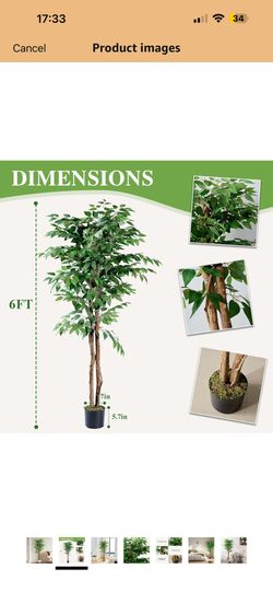 Aphighjoy 6Ft Artificial Ficus Trees 