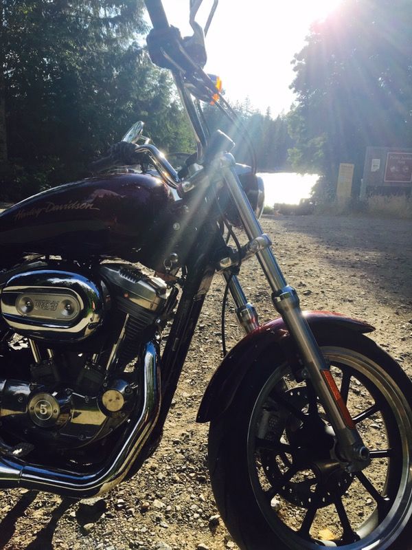 2014 Harley Davidson 883. 1145 miles.