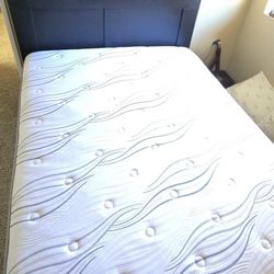 Queen Headboard and Mattress with frame 