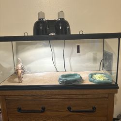 Tank And Accesories