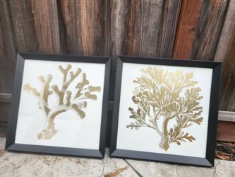 Frames