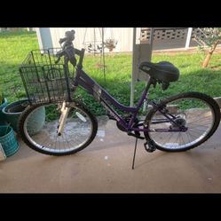 Roadmaster Girls Bike