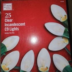 Christmas Lights 🎄  