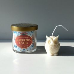 New Set Of 2 Organic  Candles Pair Candle 