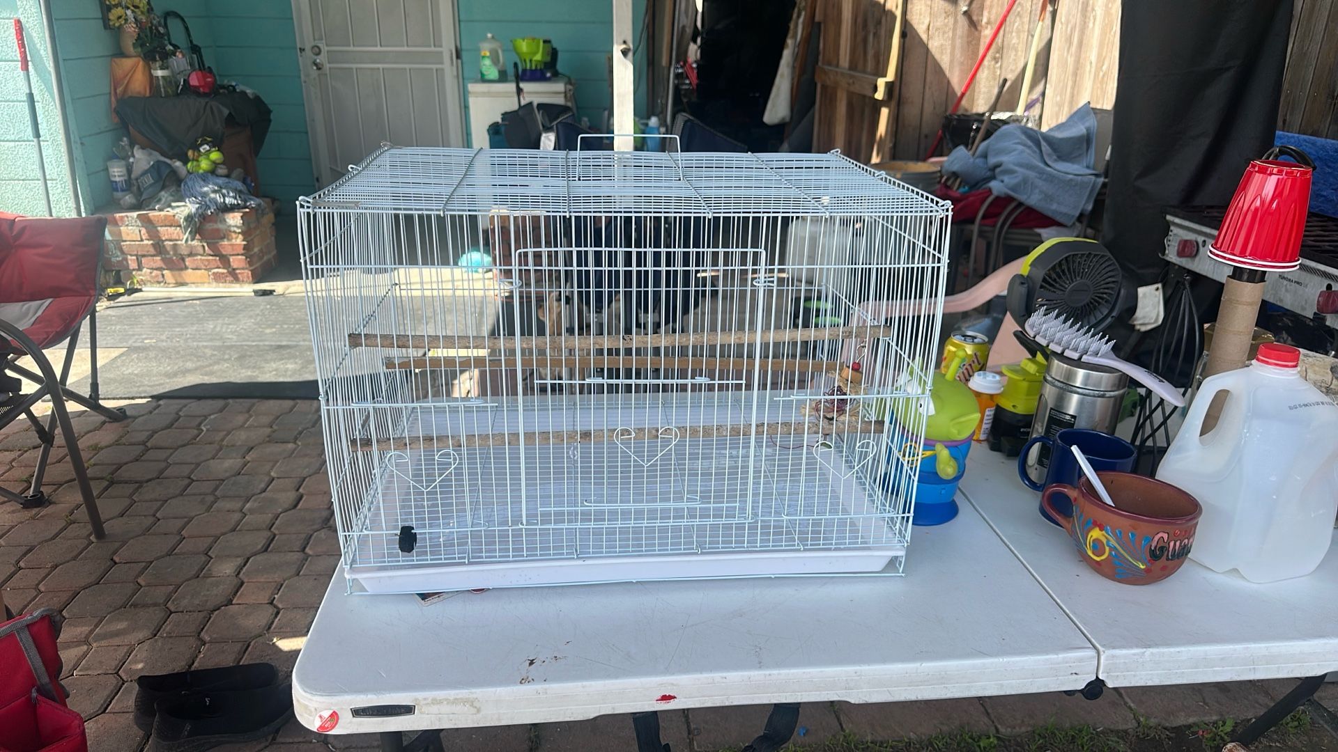 Bird Cage