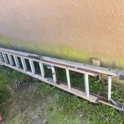 Ladder For Sale