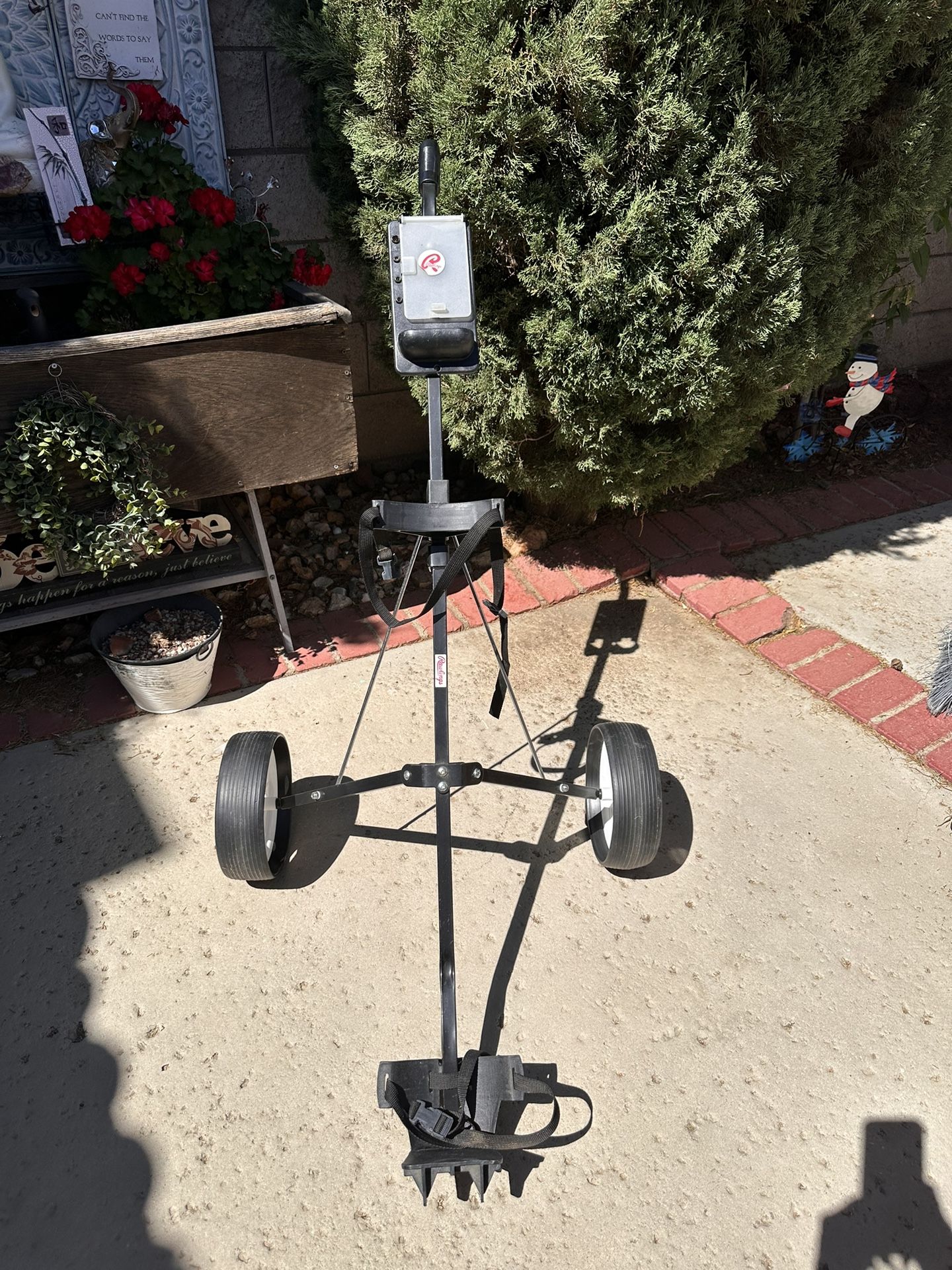 Deluxe Steel Push Cart