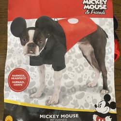 Dog Mickey Mouse Costume