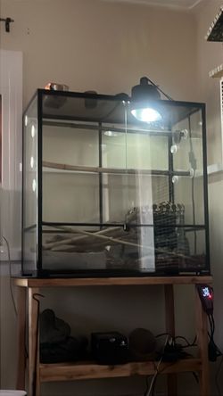 Snake tank for jungle carpet