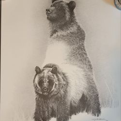 Bear transformation